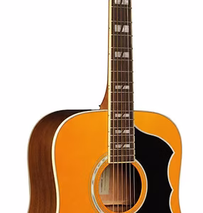 Ranger 6 VR Natural Stain Guitar - Spruce Top