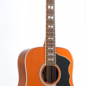 Ranger 12 VR Natural Stain Guitar - Spruce Top