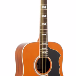 Ranger 6 VR EQ Natural Stain Guitar - Spruce Top