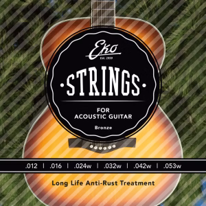 Acoustic Guitar String Set Heavy (012)