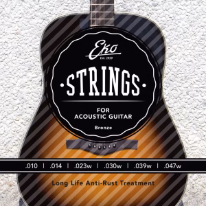Acoustic Guitar String Set Light (010)