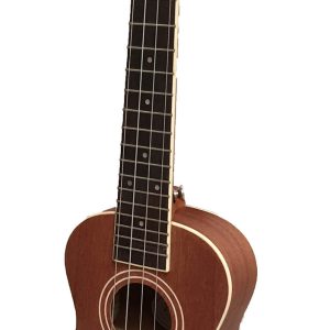 Tenor Eq Ukulele Inc Gigbag