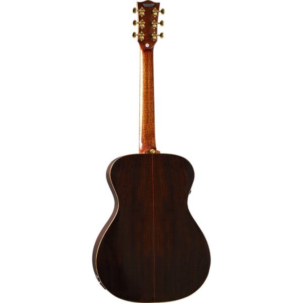 WOW A800E CR Guitar - Cedar/Rosewood - Image 2