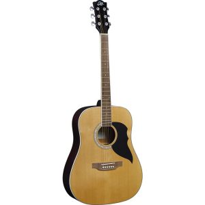 Ranger 6 Acoustic Guitar - Natural